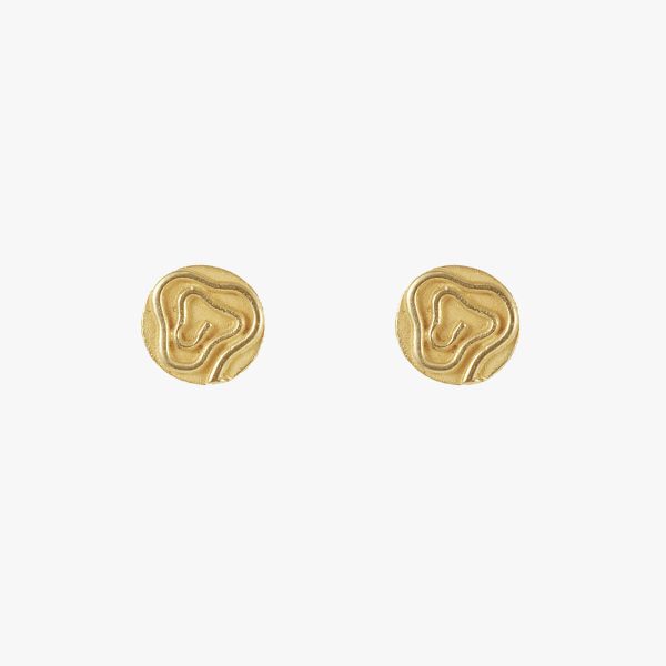 Botons d'orella petits d'or groc amb espiral